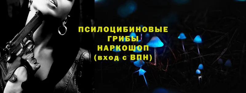 купить закладку  Байкальск  Галлюциногенные грибы прущие грибы 